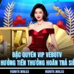 Đặc Quyền VIP VEBOTV Tận Hưởng Tiền Thưởng Hoàn Trả Siêu To