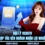 Đại Lý VEBOTV Cơ Hội Hợp Tác Kéo Khách Nhận Lợi Nhuận Khủng